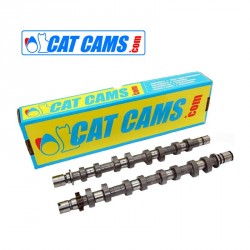 2x Arbres à Cames Rallye Cat Cams Volkswagen Golf GT 1.4L TSi 170 Twincharged (CAVE,CAVD,CTHE)