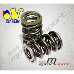 12 Doubles Ressorts de soupapes renforcés CAT CAMS Alfa Romeo V6 2.5L 12V