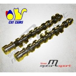 2x Arbres à Cames F.I.A. Gr.N Cat Cams Renault Type K4M Clio 1.6L 16v