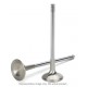8 Soupapes échappement Supertech 1.8L 20V Turbo Audi, Seat, Skoda, VW | 29,9mm | Inconel | AEVI-1103-8