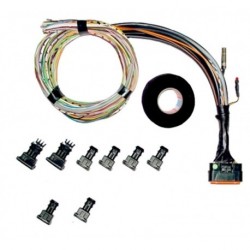 Faisceau Sybele Challenger5