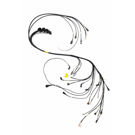 Faisceau moteur sur mesure pour gestion programmable – Réalisé sur véhicule