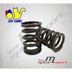 16 Ressorts de soupapes renforcés CAT CAMS Honda D16A9